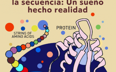 Jornada Divulga Nobel 2024