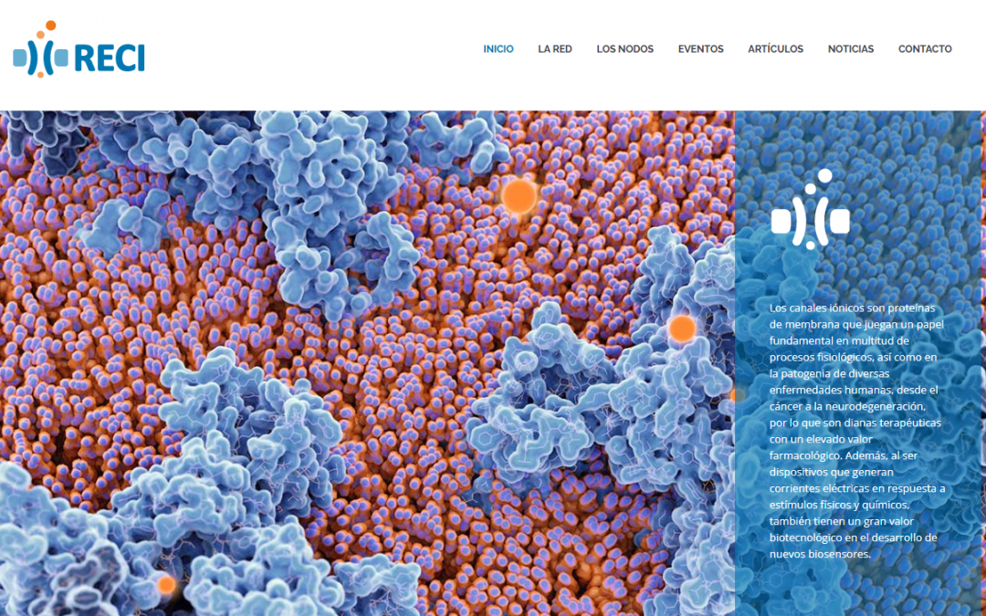 Spanish Network of Ion Channels funding