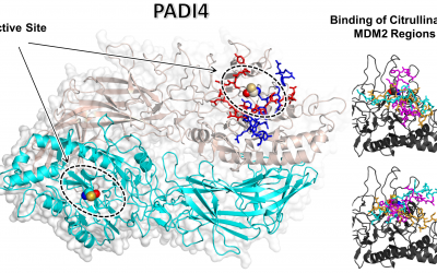 «Paper of the Month» de febrero de 2025 – SBE