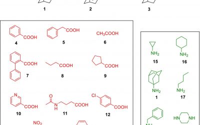 Nueva publicación del IDiBE – UMH en The FEBS Journal