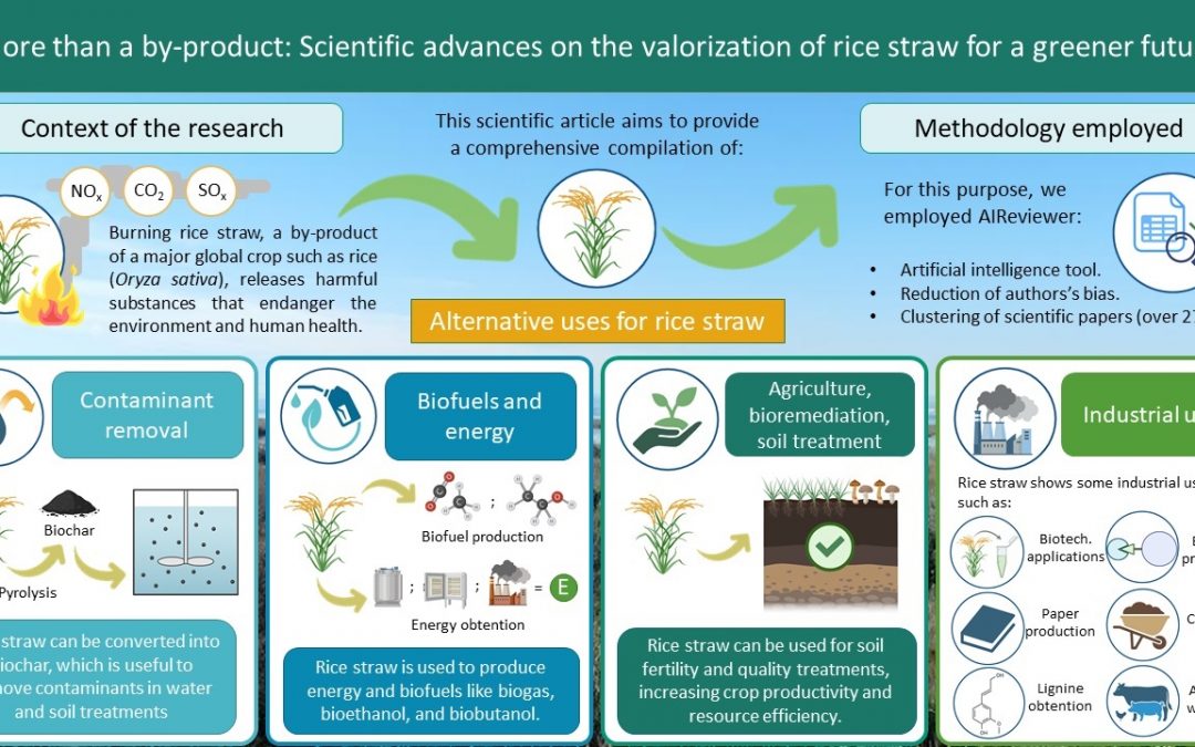 New research article – Rice straw
