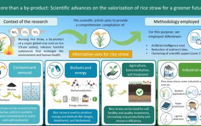 New research article – Rice straw
