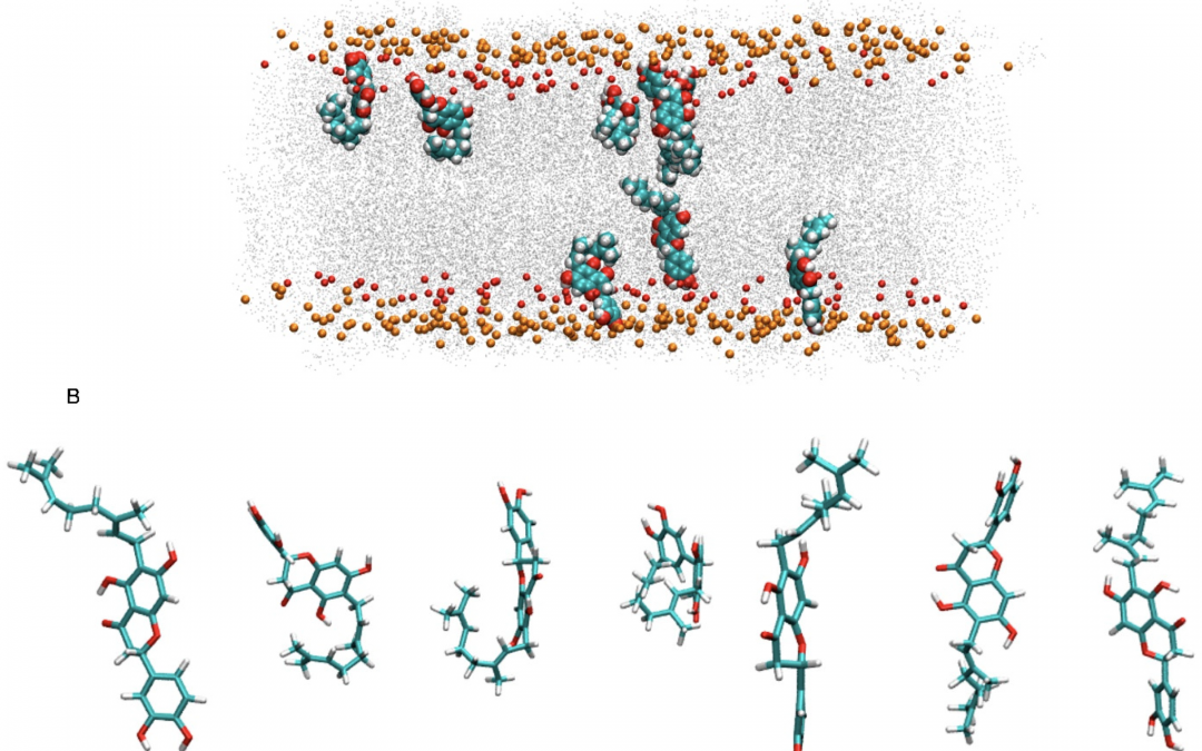 New Scientific publication – Jose Villalain