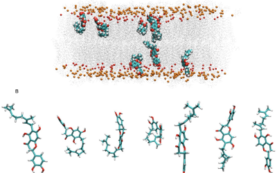 New Scientific publication – Jose Villalain