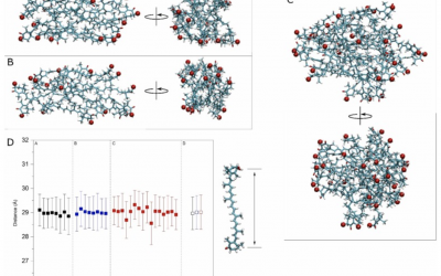 New scientific publication