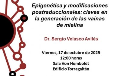 Seminario IDiBE: Epigenética y Mielina