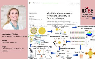 El virus del Nilo Occidental, bajo la lupa: una revisión con participación de nuestra investigadora Ana María Fernández Escamilla