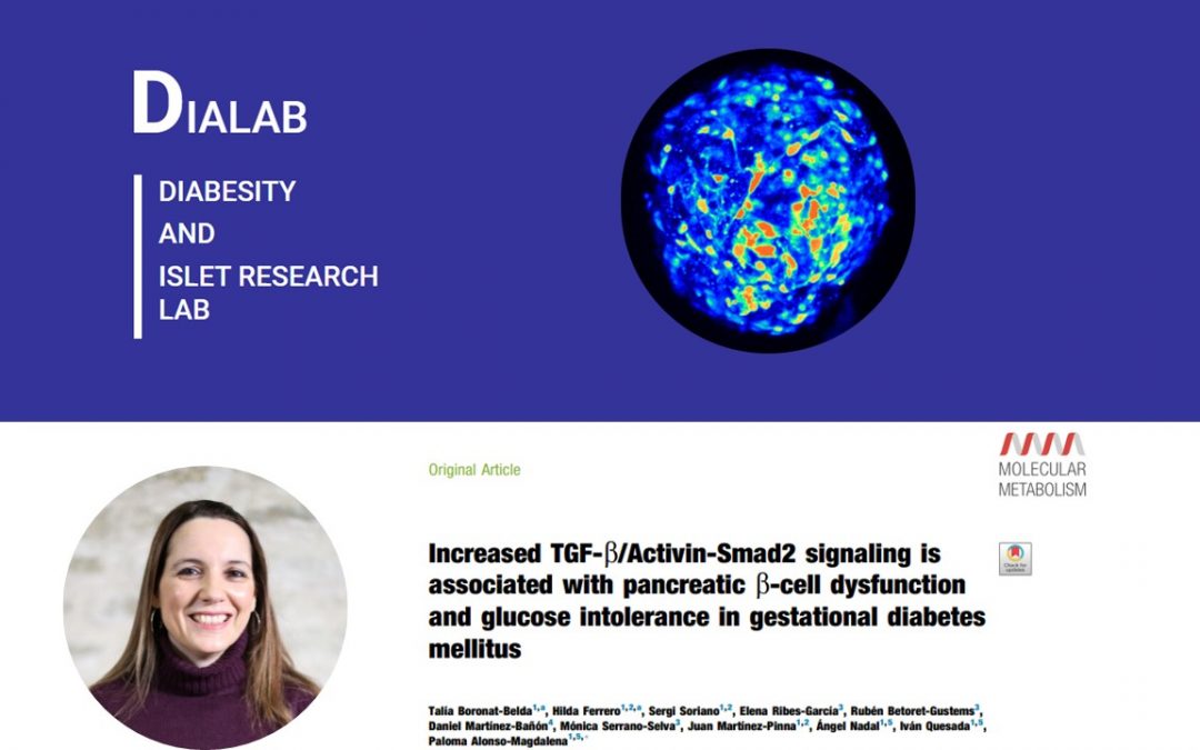 New Study Reveals a Molecular Pathway Involved in Gestational Diabetes