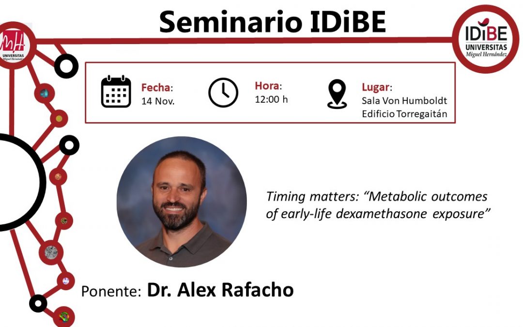 Seminar at IDiBE: How Early-Life Drug Exposure Can Influence Future Metabolism
