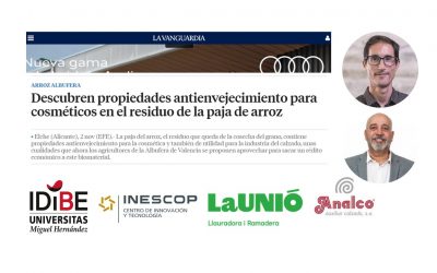 De residuo a recurso: la paja de arroz revela su potencial antienvejecimiento