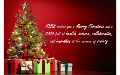 🎄 Merry Christmas from IDiBE ✨