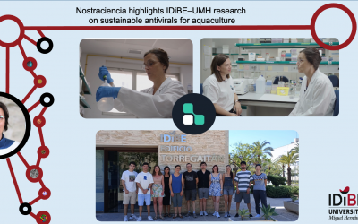 Nostraciencia highlights IDiBE–UMH research on sustainable antivirals for aquaculture