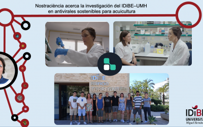 Nostraciència acerca la investigación del IDiBE–UMH en antivirales sostenibles para acuicultura