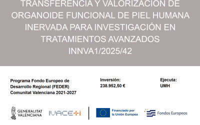 IDiBE receives European funding to advance a human innervated skin model