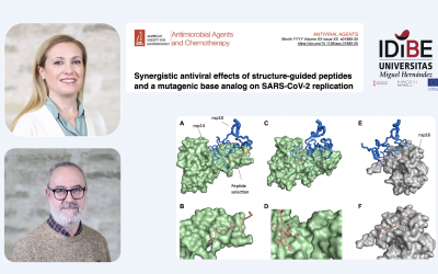 IDiBE Contributes to the Development of a Novel Antiviral Strategy Against SARS-CoV-2